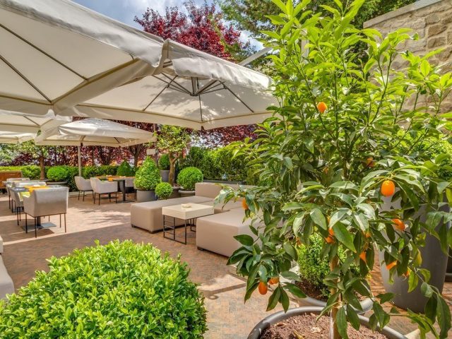 Кафе Secret Garden Працює лише влітку