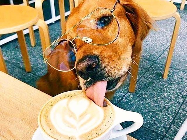 Кафе Wake Up Coffee | Харків