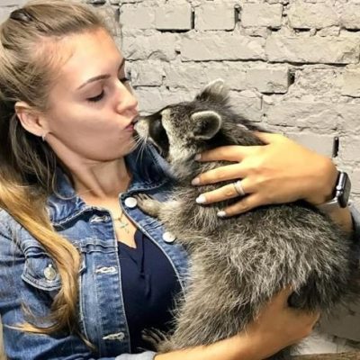 Кафе Wild and Mimimi | Сумська вул., 25