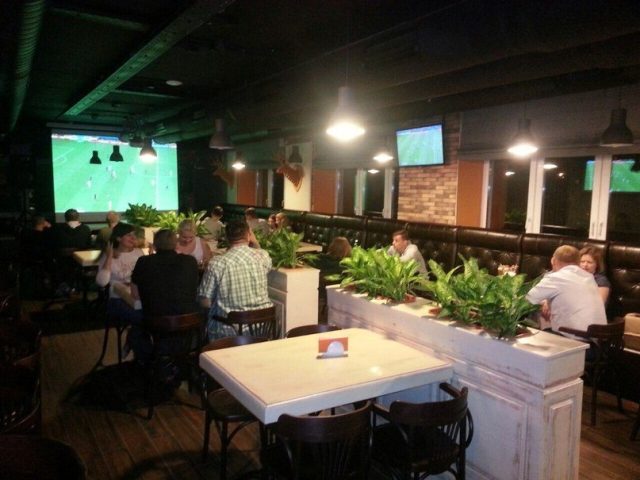 Pub Rudyi Olen | Mykoly Lavrukhina St, 3