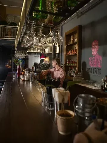 Bar Pink Freud | Nyzhnii Val St, 19