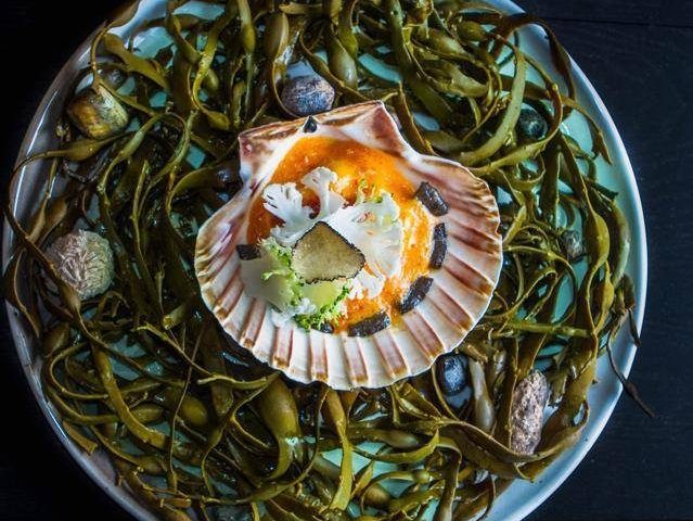 Restaurant Azuma | French Blvd, 54/23