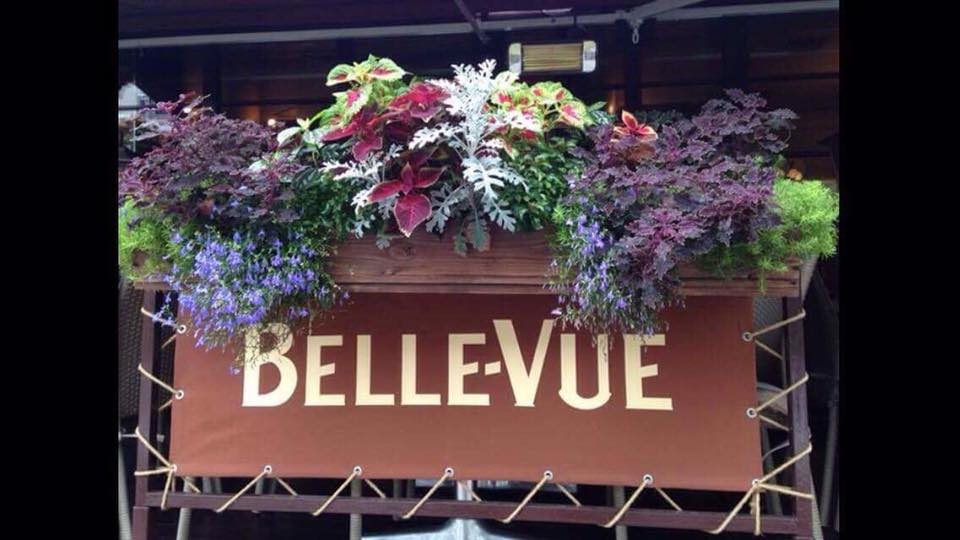 Restaurant Bel Viu | Saksahanskoho St, 7
