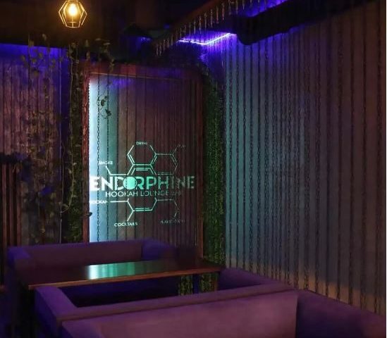 Ресторан Endorphine | вул. Юрія Іллєнка, 32