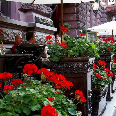 Restaurant Le Patio | Odesa
