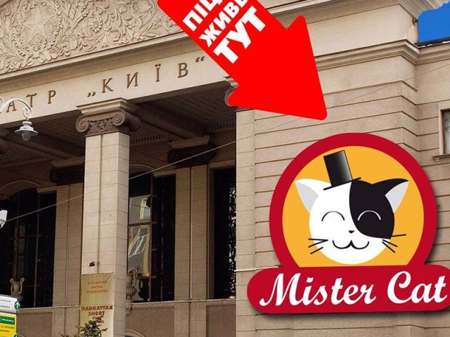 Ресторан Mister Cat №7 | ул. Большая Васильковская, 19