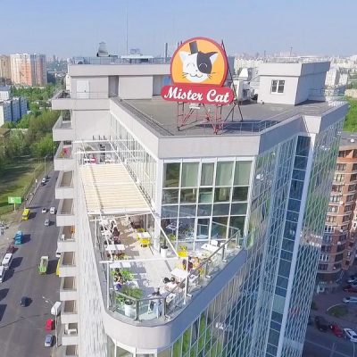 Ресторан Mister Cat Penthouse | Голосеевский просп., 132