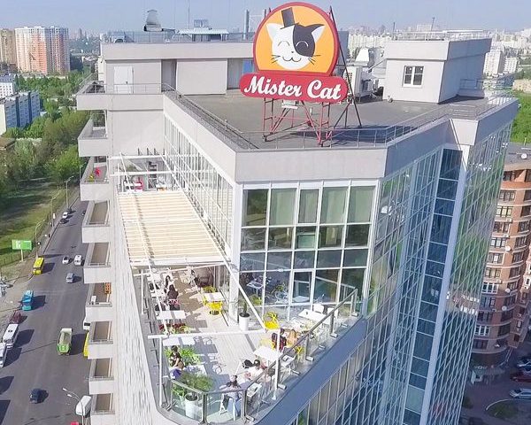 Restaurant Mister Cat Penthouse | Kyiv