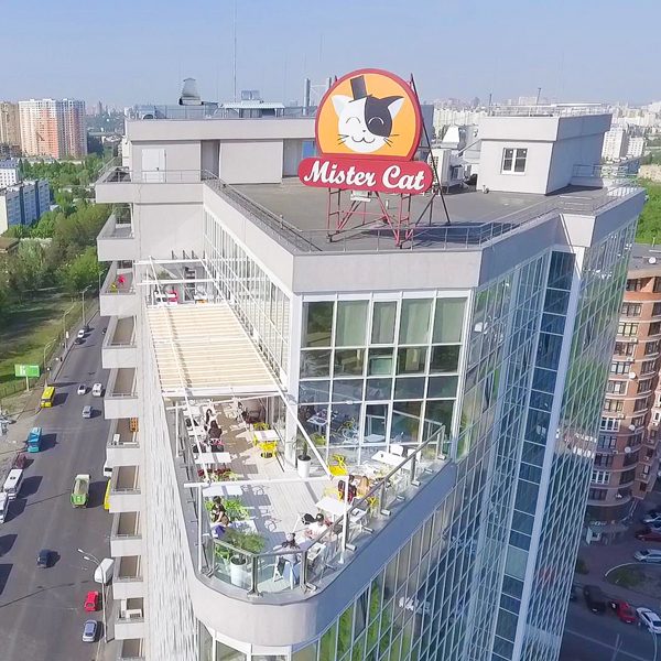 Ресторан Mister Cat Penthouse | Голосеевский просп., 132