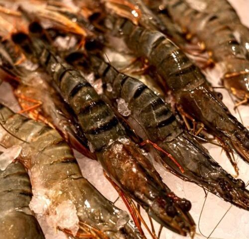 Ресторан Oceanic restaurant Don Omar | Харьковская наб., 2а