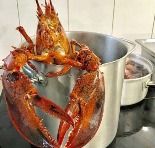 Ресторан Oceanic restaurant Don Omar | Харьковская наб., 2а