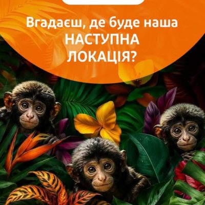 Ресторан Rumbabar | Берестейський просп., 136