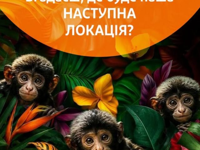 Restaurant Rumbabar | Kyiv