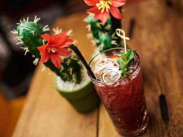 Ресторан ROJO OJO | Оболонський просп., 26