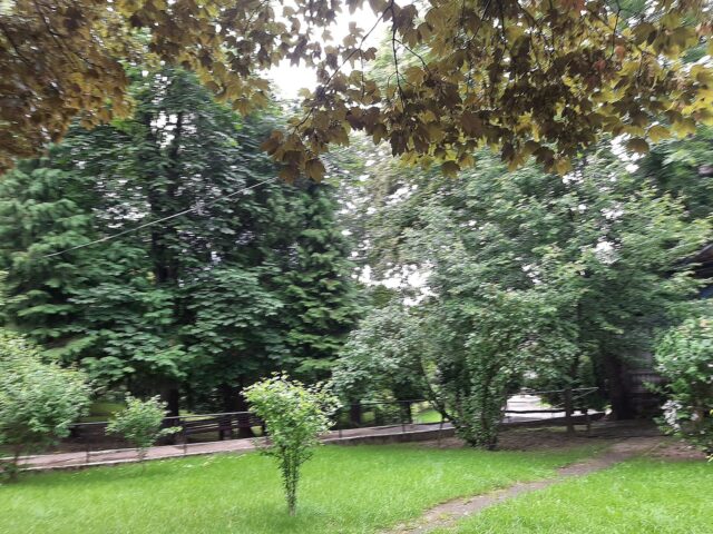 Косівський ринок