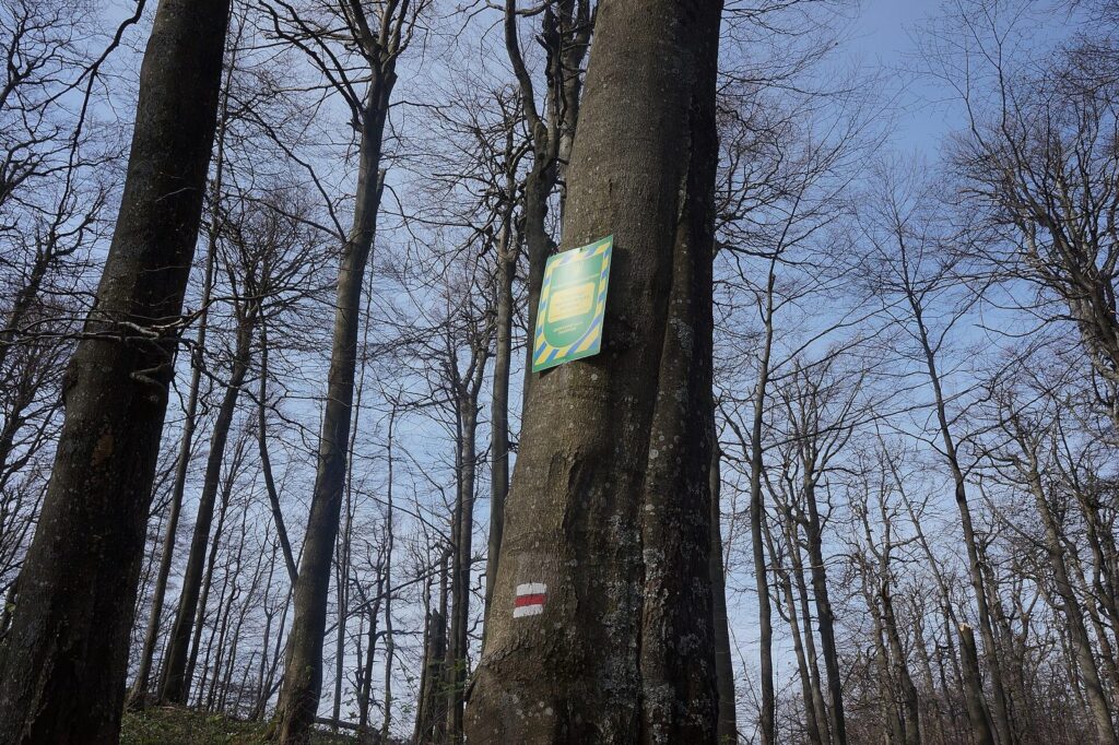 Пам’ятка природи Озеро Ворочовське