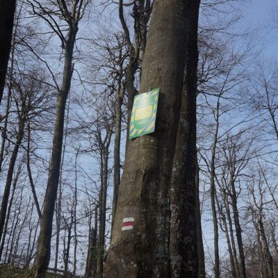 Пам’ятка природи Озеро Ворочовське