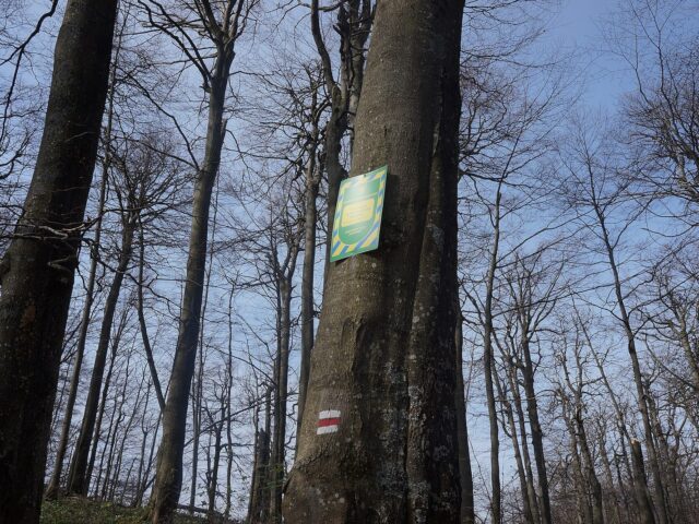 Pam’yatka pryrody Ozero Vorochovske