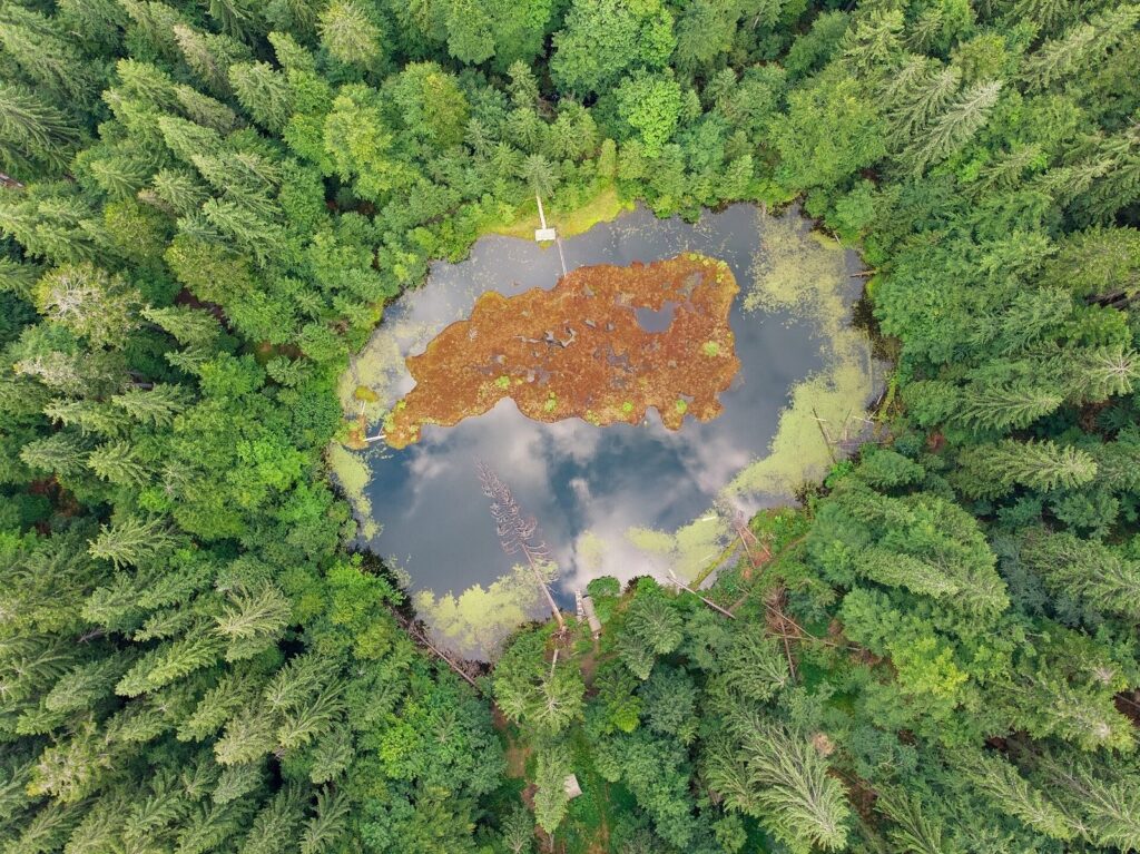 Дике Озеро (Озірце), Синевир