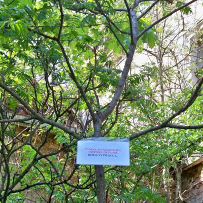 Церковь Зіслання Cв. Духа, с. Подгорцы