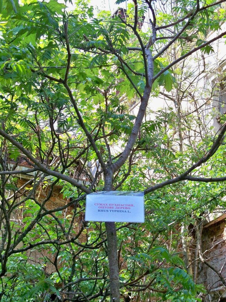Церковь Зіслання Cв. Духа, с. Подгорцы