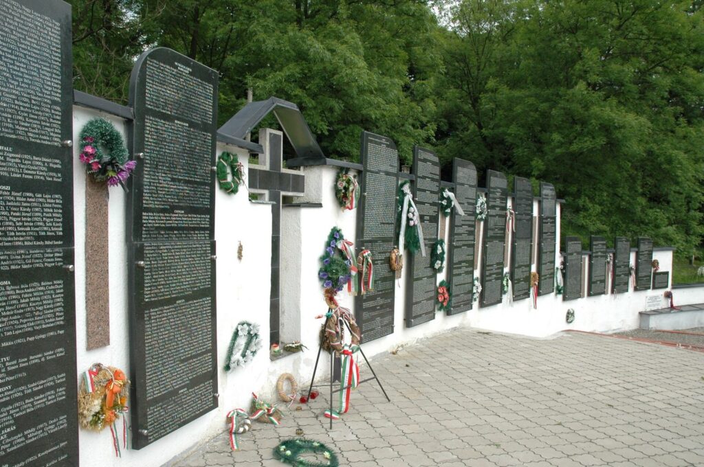 Острів Марта-Маргарита, Свалява