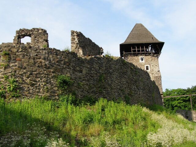 Невицький замок