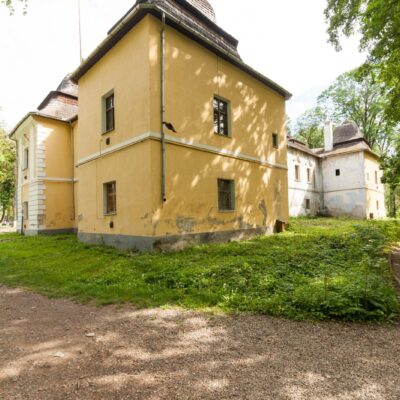 Дворец Перені, Виноградов