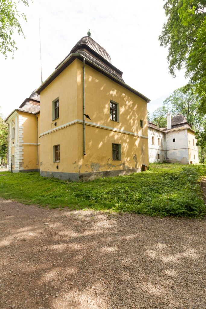 Палац Перені, Виноградів