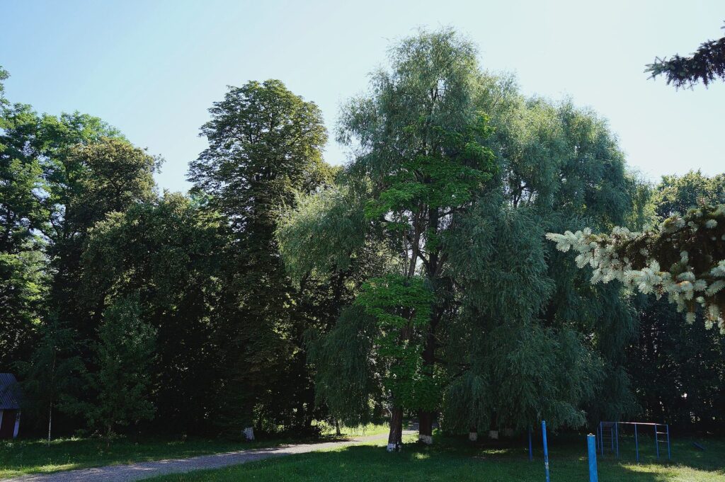 Дворец вірменських купців Криштофовичів, с. Карапчов