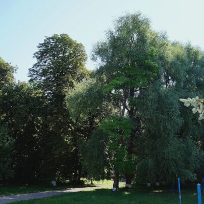 Дворец вірменських купців Криштофовичів, с. Карапчов