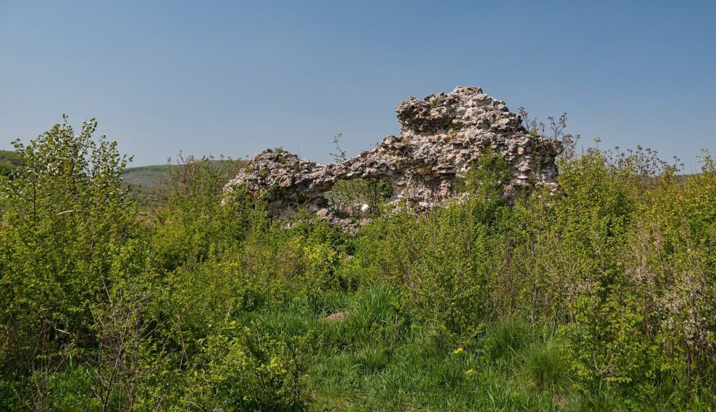 Квасівський замок с. Квасово