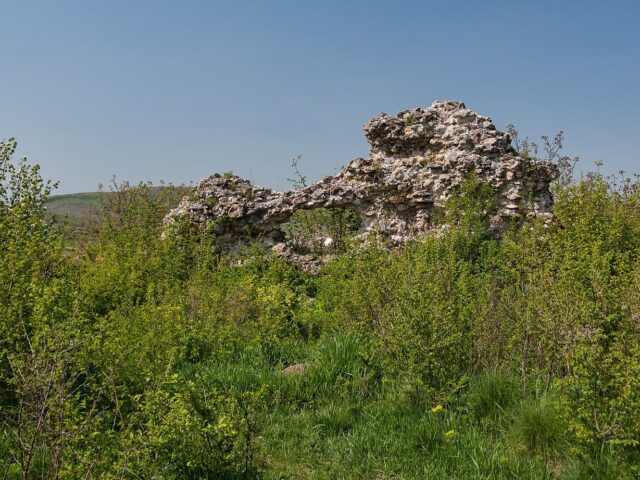 Kvasivskyi zamok s. Kvasovo