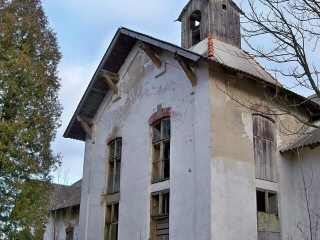 Budivlia polskoi himnazii, Dolyna