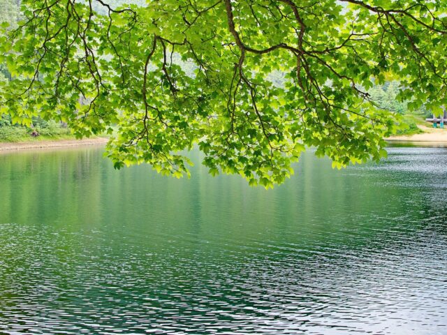 Lake Synevyr