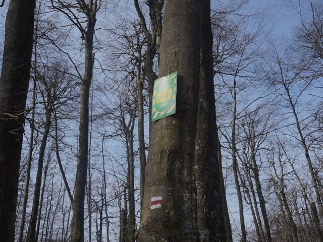 Pam’yatka pryrody Ozero Vorochovske
