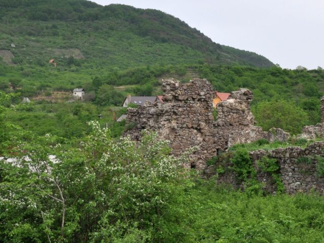 Пам’ятка природи Ботанічний заповідник Чорна Гора, Виноградов — фото 2