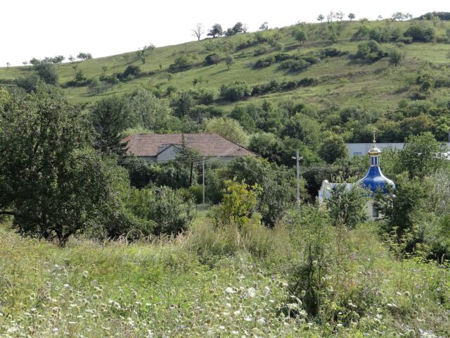 Дворец графів Шенборнів, Берегово — фото 2