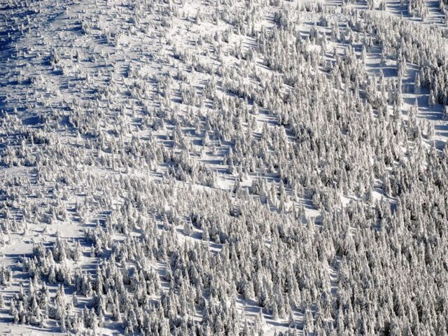 Mount Petros Chornohirskyi