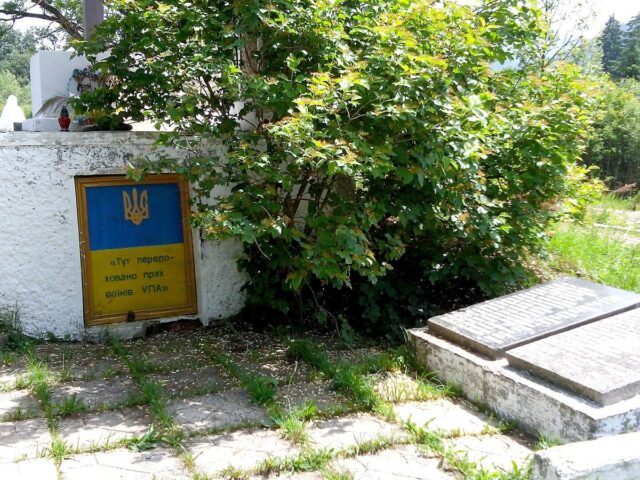 Гірськолижні витяги у Верховині — фото 3