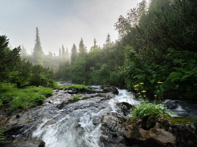 Водопады Гаджинські, с. Быстрец — фото 3