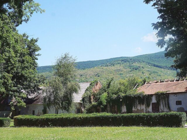 Пам’ятка природи Ботанічний заповідник Чорна Гора, Виноградов — фото 3