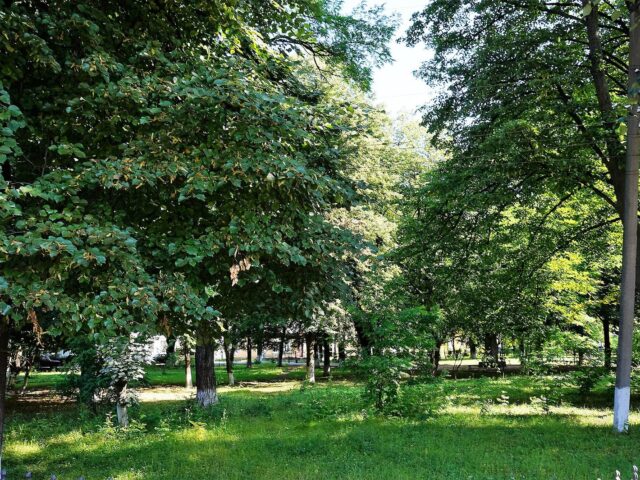 Petropavlivskyi kostel, Vyzhnytsia