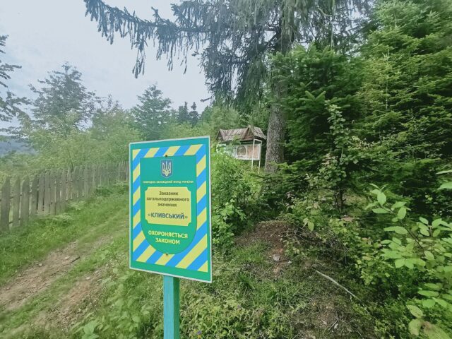 Костёл в Делятині — фото 3