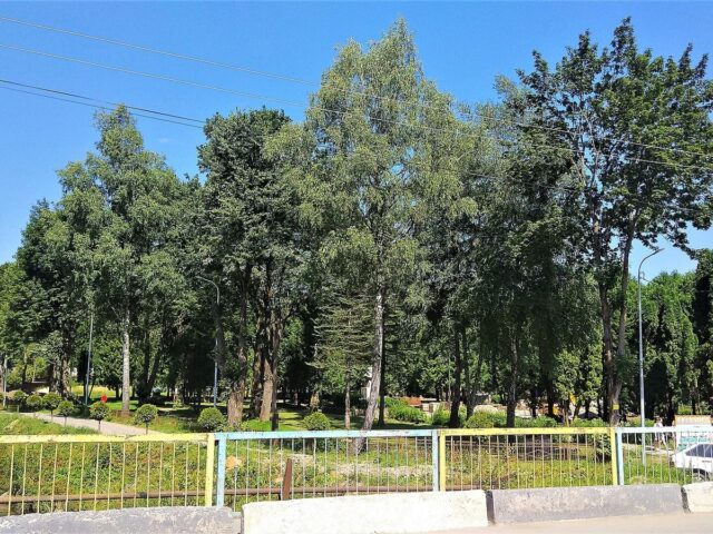 Велика гойдалка, Славське