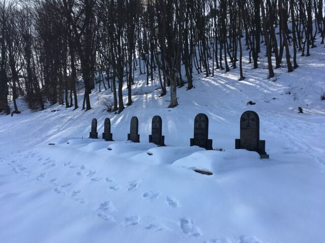 Свято-Миколаївський монастир, Малый Берёзный