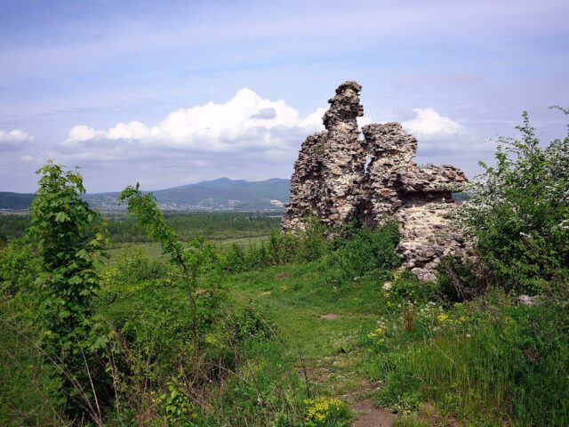 Королівський замок Нялаб, смт. Королево