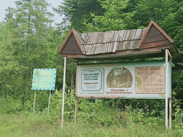 Костёл в Делятині — фото 4