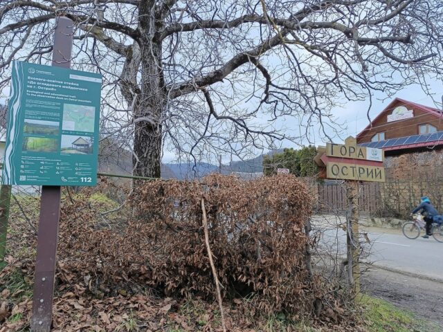 Valy zamku, Kosiv