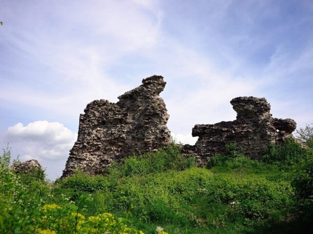 Королівський замок Нялаб, смт. Королево